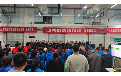 春供保障進行時|科盛工程師駐守一線,助力煙草高效分揀